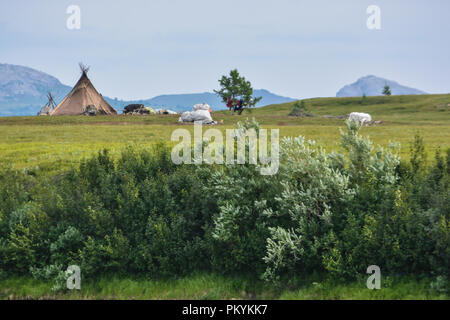 Camp d'éleveurs de rennes dans le parc naturel de l'Oural polaire. Habitations des Nenets sur Yamal. Banque D'Images