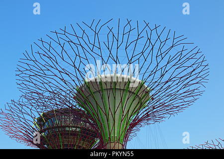 Marina Bay, Singapour, Supertrees dans les jardins de la baie. Banque D'Images