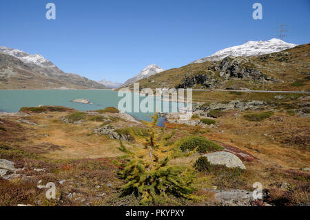 Le train Bernina durs sur les Alpes Suisses dans l'Bernina-Hospitz d'Oberengadin Pontresina via à l'Alp Grüm et se termine à Tirano (Italie). Banque D'Images