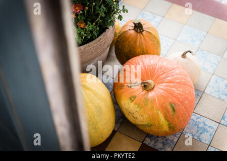 Décorées de grâce porte avant avec différentes tailles et formes des citrouilles et du chrysanthème. Porche décoré pour l'Halloween, Thanksgiving, Collection Automne Banque D'Images