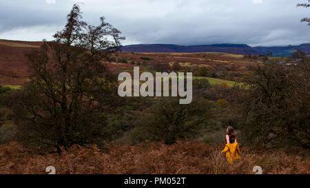 Self Portrait sur Llangynidr Mountain Banque D'Images