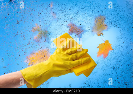 De caoutchouc jaune gant avec serviette. Ciel bleu et feuilles d'érable colorées sur une branche derrière une vitre sale. Image conceptuelle sur le thème de cleanline Banque D'Images