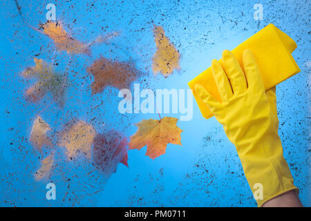 De caoutchouc jaune gant avec serviette. Ciel bleu et feuilles d'érable colorées sur une branche derrière une vitre sale. Image conceptuelle sur le thème de cleanline Banque D'Images