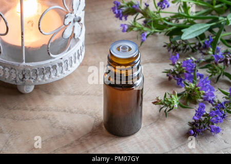 Une bouteille d'huile essentielle avec de l'hysope en fleurs Banque D'Images