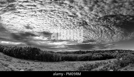 De superbes maquereaux ciel cirrocumulus altocumulus formations dans ciel d'image noir et blanc de paysage Banque D'Images