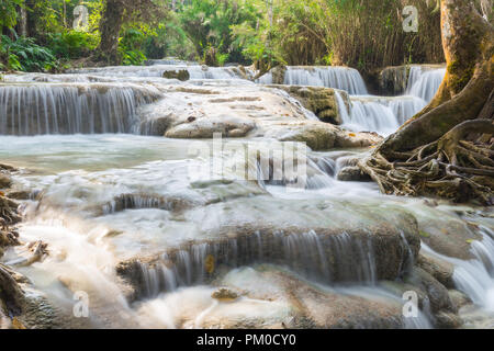 Cascade dans la forêt profonde jungle Banque D'Images