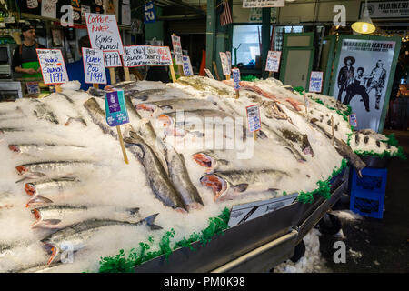 Les saumons sauvages fraîches couvertes de glace affiche sur un poisson shop décroche à Pike Place Market, Seattle, USA. Banque D'Images