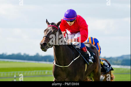 Curragh, KIL, USA. 16 Sep, 2018. 16 septembre 2018 : Scatter Skitter », montée par Ronan Whelan, gagne le Moyglare Stud Stakes sur Champions irlandais Curragh Hippodrome Enjeux à jour le 16 septembre 2018 en Irlande, Curragh. Scott Serio/ESW/CSM/Alamy Live News Banque D'Images