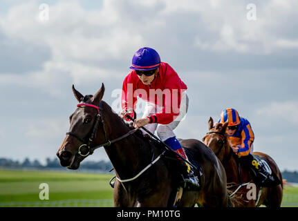 Curragh, KIL, USA. 16 Sep, 2018. 16 septembre 2018 : Scatter Skitter », montée par Ronan Whelan, gagne le Moyglare Stud Stakes sur Champions irlandais Curragh Hippodrome Enjeux à jour le 16 septembre 2018 en Irlande, Curragh. Scott Serio/ESW/CSM/Alamy Live News Banque D'Images