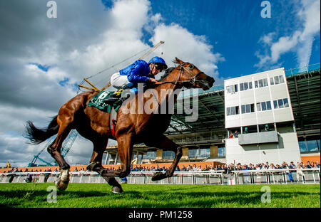 Curragh, KIL, USA. 16 Sep, 2018. 16 septembre 2018 : Quorto, montée par William Buick, gagne le Goff's Vincent O'Brien Stakes sur Champions irlandais Curragh Hippodrome Enjeux à jour le 16 septembre 2018 en Irlande, Curragh. Scott Serio/ESW/CSM/Alamy Live News Banque D'Images