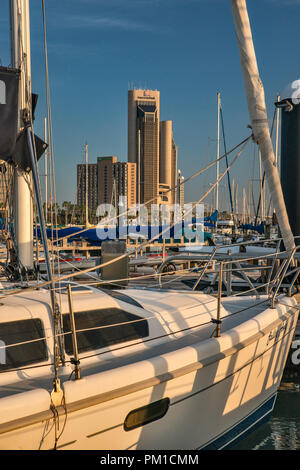 Voiliers à Corpus Christi Marina, le centre-ville de tours dans la distance, Corpus Christi, Texas, États-Unis Banque D'Images