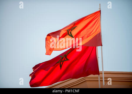 26-02-15, Marrakech, Maroc. Drapeaux national marocain. Photo © Simon Grosset Banque D'Images