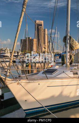 Voiliers à Corpus Christi Marina, le centre-ville de tours dans la distance, Corpus Christi, Texas, États-Unis Banque D'Images