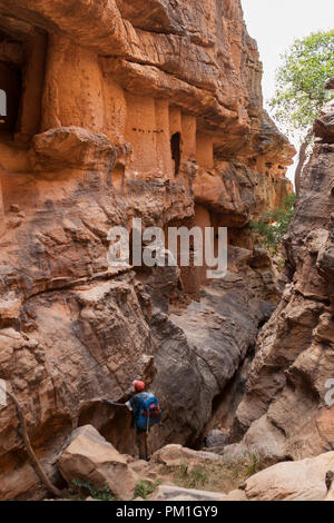 Bâtiments traditionnels Dogon dans un des villages de Youga dans le pays Dogon, Mali, Afrique. Banque D'Images