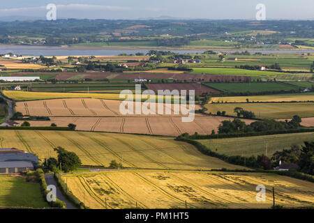 Champs à motifs de terres agricoles vu de flancs de colline Scrabo, Newtownards, comté de Down, Irlande du Nord. Banque D'Images