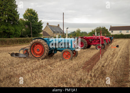 Les tracteurs d'époque au Vintage Tracteur et laboure Affichage à mâcher Stoke 2018 Banque D'Images