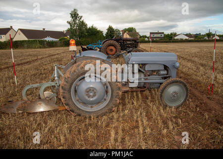 Les tracteurs d'époque au Vintage Tracteur et laboure Affichage à mâcher Stoke 2018 Banque D'Images