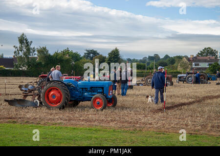 Les tracteurs d'époque au Vintage Tracteur et laboure Affichage à mâcher Stoke 2018 Banque D'Images