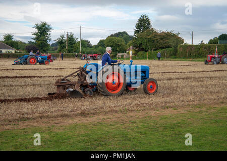 Les tracteurs d'époque au Vintage Tracteur et laboure Affichage à mâcher Stoke 2018 Banque D'Images