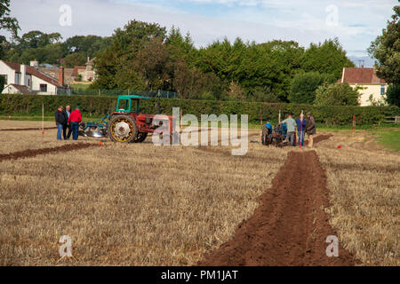 Les tracteurs d'époque au Vintage Tracteur et laboure Affichage à mâcher Stoke 2018 Banque D'Images