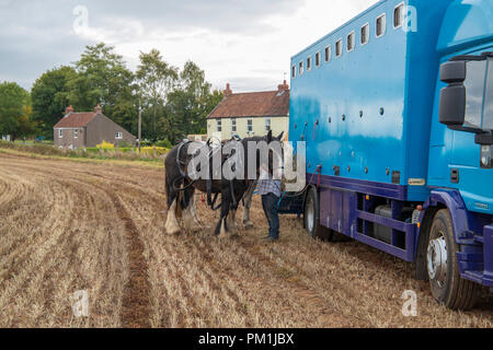 Chevaux au labour tracteur Vintage Affichage à mâcher Stoke, Bristol Banque D'Images