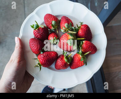 Fraises rouges frais sur plaque blanche avec holding hand Banque D'Images