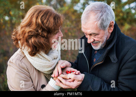 Couple en promenade dans une forêt, dans une nature d'automne, fruits de rose musquée mûrs holding. Banque D'Images