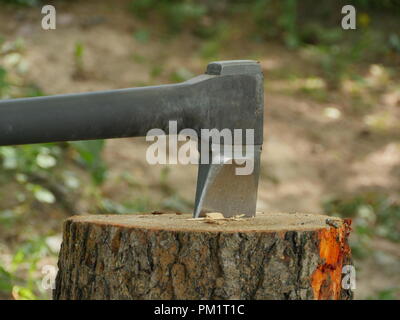 Marchand de couper du bois avec une hache Banque D'Images