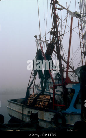 Crevettes de voile sur la côte du golfe des États-Unis attraper des crevettes et des huîtres sauvages. Banque D'Images