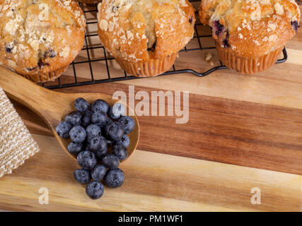 Bleuets frais sur une cuillère en bois et de muffins aux bleuets sur une grille de refroidissement with copy space Banque D'Images