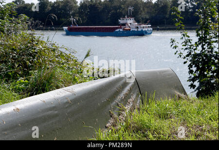 04 septembre 2018, le Schleswig-Holstein, Schinkel : 04 septembre 2018, l'Allemagne, Schinkel : Une clôture gardera reptiles et petits animaux à l'avenir construction site d'élargir le Canal de Kiel. (Sur 'DPA Expansion du canal de Kiel se prolonge dans les années 30') Photo : Carsten Rehder/dpa Banque D'Images