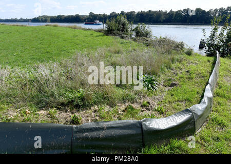 04 septembre 2018, le Schleswig-Holstein, Schinkel : 04 septembre 2018, l'Allemagne, Schinkel : Une clôture gardera reptiles et petits animaux à l'avenir construction site d'élargir le Canal de Kiel. (Sur 'DPA Expansion du canal de Kiel se prolonge dans les années 30') Photo : Carsten Rehder/dpa Banque D'Images