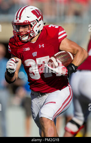 Madison, WI, USA. 15 Sep, 2018. Wisconsin Badgers Garrett running back # 37 Groshek se précipite la balle pendant la NCAA Football match entre les Cougars de Brigham Young et le Wisconsin Badgers au Camp Randall Stadium à Madison, WI. John Fisher/CSM/Alamy Live News Banque D'Images