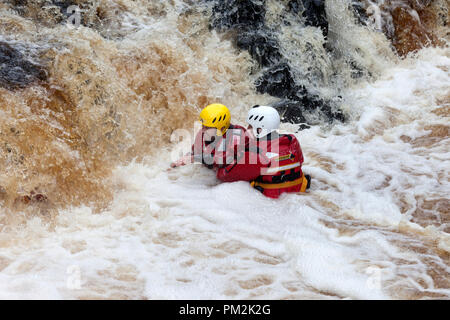 La force faible, fleuve Tees, Teesdale, County Durham, Royaume-Uni. Lundi 17 septembre 2018. Députés du comté de Durham et Darlington Fire and Rescue Service obtenir dans certains sauvetage en eau de la formation sur le fleuve Tees aujourd'hui. Des tempêtes avec Helena en raison de frapper la zone ce soir développer ces compétences est une partie essentielle de leur formation. Crédit : David Forster/Alamy Live News Banque D'Images