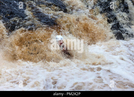 La force faible, fleuve Tees, Teesdale, County Durham, Royaume-Uni. Lundi 17 septembre 2018. Députés du comté de Durham et Darlington Fire and Rescue Service obtenir dans certains sauvetage en eau de la formation sur le fleuve Tees aujourd'hui. Des tempêtes avec Helena en raison de frapper la zone ce soir développer ces compétences est une partie essentielle de leur formation. Crédit : David Forster/Alamy Live News Banque D'Images