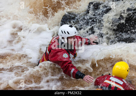 La force faible, fleuve Tees, Teesdale, County Durham, Royaume-Uni. Lundi 17 septembre 2018. Députés du comté de Durham et Darlington Fire and Rescue Service obtenir dans certains sauvetage en eau de la formation sur le fleuve Tees aujourd'hui. Des tempêtes avec Helena en raison de frapper la zone ce soir développer ces compétences est une partie essentielle de leur formation. Crédit : David Forster/Alamy Live News Banque D'Images