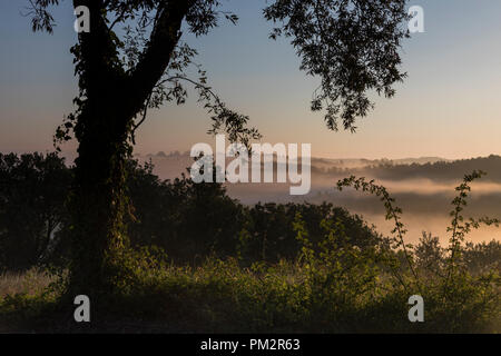 Achat régulières de la vue des collines et des arbres près de Castelnuovo Berardenga, Toscane, Italie. Banque D'Images