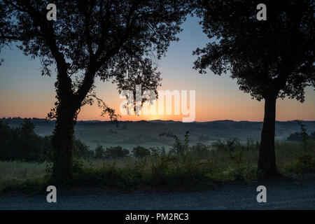 Achat régulières de la vue des collines et des arbres près de Castelnuovo Berardenga, Toscane, Italie. Banque D'Images