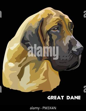 Portrait couleur de grand danois vector illustration isolé sur fond noir Illustration de Vecteur