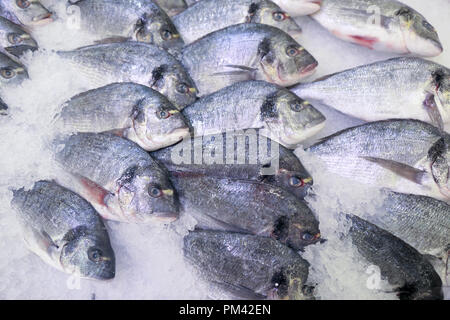 Poisson frais Dorado at a market Banque D'Images