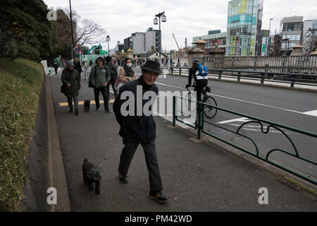 La vie quotidienne à Shibuya, Tokyo, Japon, Asie Banque D'Images