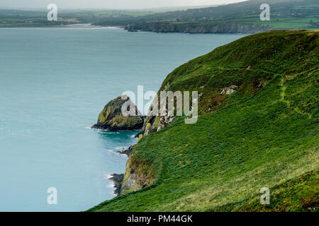 Rock, au large de l'aiguille, près de Tête Ddin mcg-an-Eglwys, près de Dinas Cross, Fishguard, Pemrbrokeshire Banque D'Images