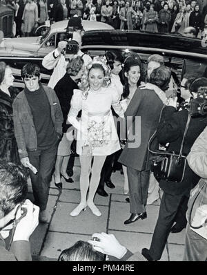 Sharon Tate et Roman Polanski le jour de leur mariage, janvier 20,1968. Référence # 1027 Fichier 009THA © CCR /Le Hollywood Archive - Tous droits réservés. Banque D'Images