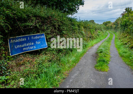 Lane pays usnuitable pour les véhicules à moteur près de Bryn-henllan, Dinas Cross, Fishguard, Pemrbrokeshire Banque D'Images