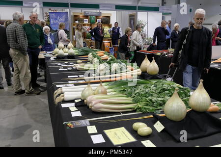 Harrogate Flower Show 2018 Harrogate, Yorkshire, UK. 18 sept., 2018. Harrogate Automne Annuel Flower Show Banque D'Images