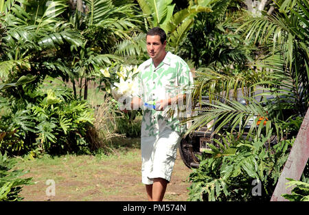 Photo du film de '50 First Dates' Adam Sandler Crédit photo : Darren Michaels © 2004 Columbia Pictures Référence #  307351519THA pour un usage éditorial uniquement - Tous droits réservés Banque D'Images