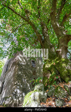 Dianaburg, ancien pavillon de chasse romantique ou Jagdschloss, caché dans la forêt près de Greifenstein, Hesse, Allemagne Banque D'Images