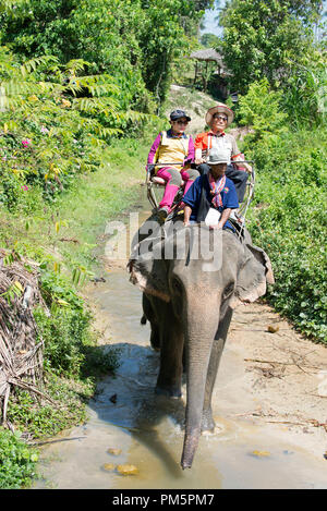 La Thaïlande, Koh Samui ; Éléphant (Elephas maximus) avec les touristes pour un petit aller-retour dans la jungle Banque D'Images