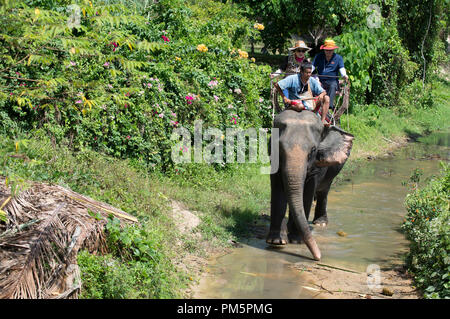 La Thaïlande, Koh Samui ; Éléphant (Elephas maximus) avec les touristes pour un petit aller-retour dans la jungle Banque D'Images