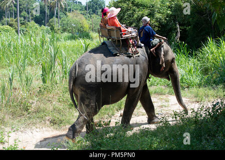 La Thaïlande, Koh Samui ; Éléphant (Elephas maximus) avec les touristes pour un petit aller-retour dans la jungle Banque D'Images